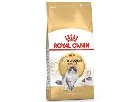 Сухой корм Royal Canin Breed cat Norwegian Forest  РОЯЛ КАНИН ДЛЯ ВЗРОСЛЫХ КОШЕК ПОРОДЫ НОРВЕЖСКАЯ ЛЕСНАЯ СТАРШЕ 1 ГОДА 2 кг