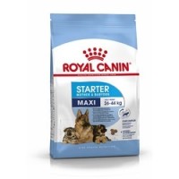 Сухой корм Royal Canin Maxi Starter  РОЯЛ КАНИН МАКСИ СТАРТЕР ДЛЯ ЩЕНКОВ КРУПНЫХ ПОРОД ДО 2 МЕСЯЦЕВ 15 кг